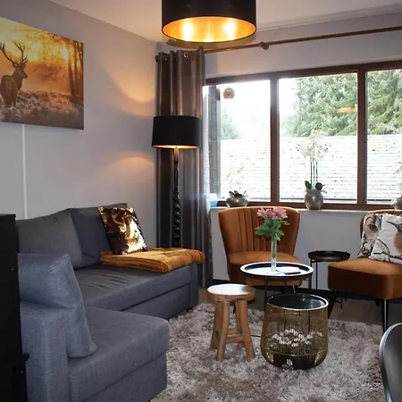 Liemeckeweg 12-h Apartment Winterberg
